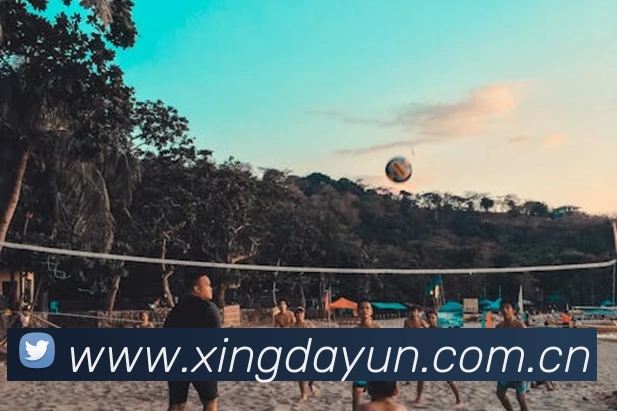 App Interface Preview