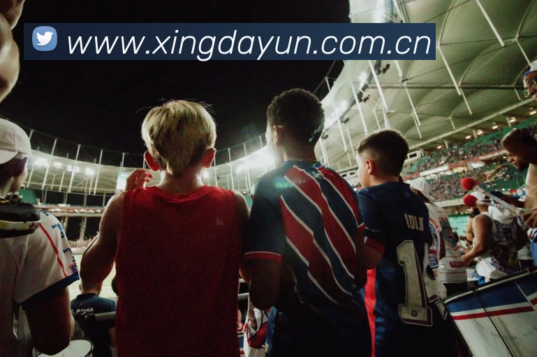 滚球买球的app官网APP 封面图